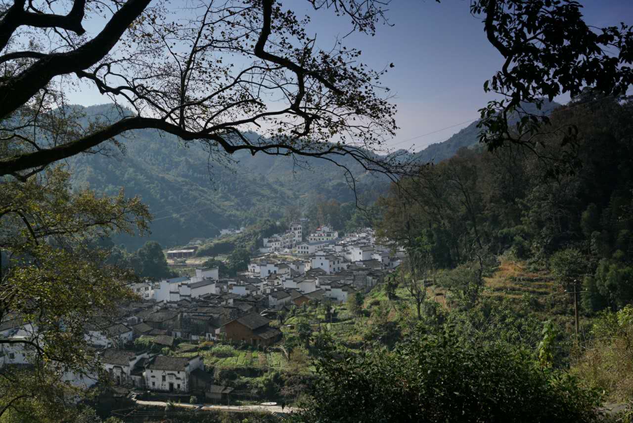 婺源周溪人口_婺源油菜花图片(2)