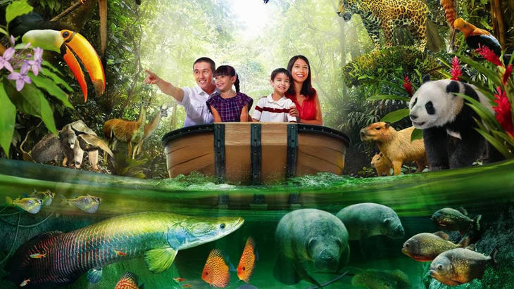 有鳞淡水鱼畅游于世界上巨大的淡水水族箱中又会何其壮观?