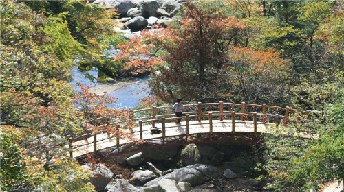 勉县云雾山景区门票