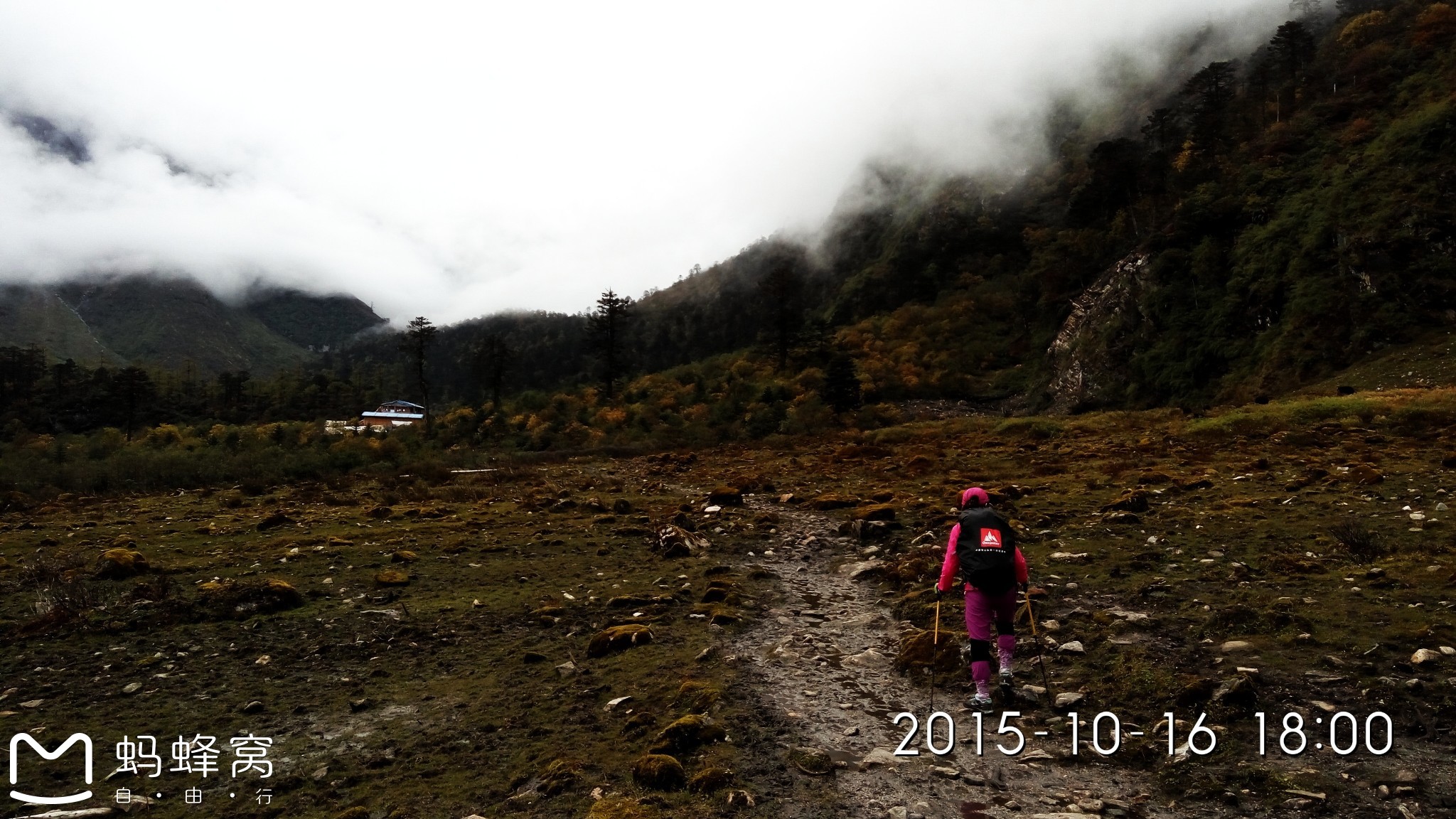 wKgBs1bmSJuAI_ZtAAl_mTtTmsY82.jpeg?imageView2%2F2%2Fw%2F600%2Fh%2F600%2Fq%2F90