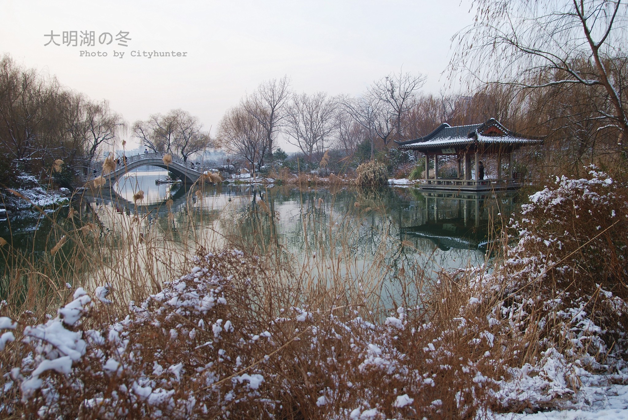 济南的冬天图片35,济南旅游景点,风景名胜 - 马蜂窝