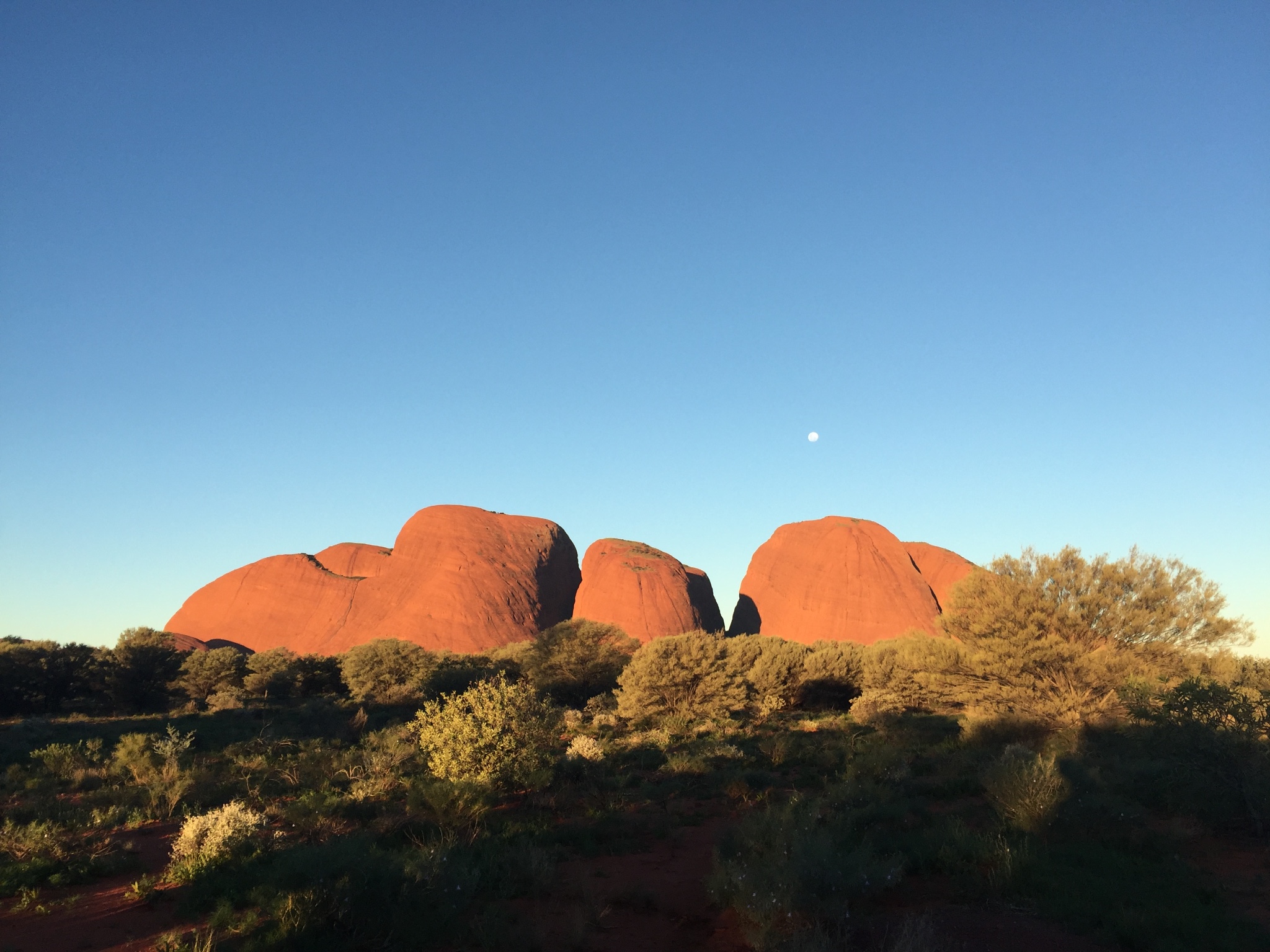 世界中心的石头--uluru 乌鲁鲁