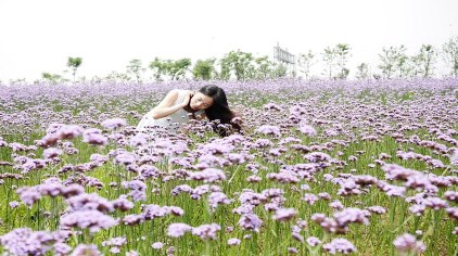 绍兴杭州湾海上花田门票