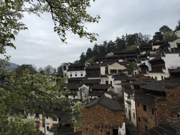 梦回旧居,妈妈去世后的心灵慰藉与自我疗愈 梦回旧居,妈妈去世后的心灵慰藉与自我疗愈