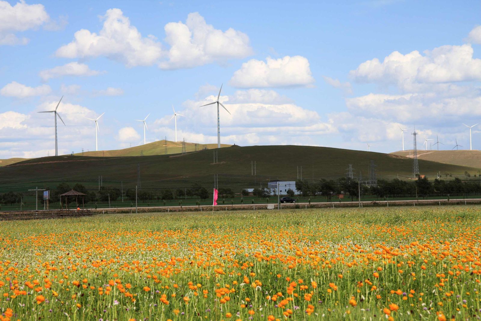 张家口当地跟团游馥美沽源五花草甸景区天鹅湖景区休闲度假一日游