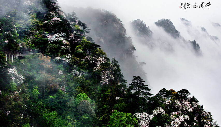 井冈山在江西哪个县 wKgBs1b7Zj6AKHDmAAu8wQx-DJ019.jpeg