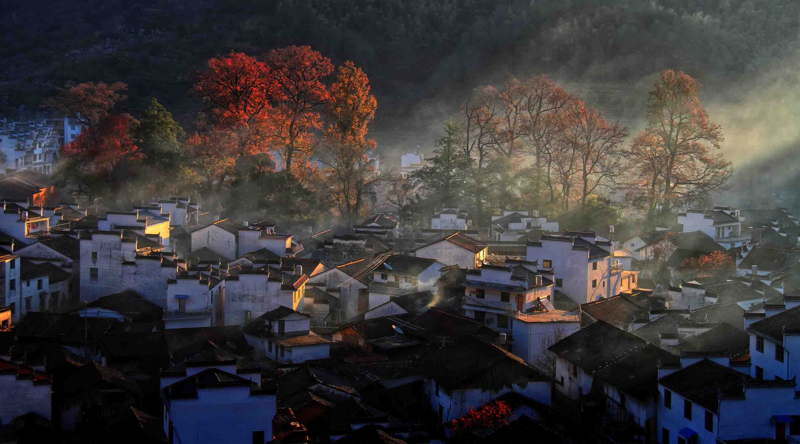 11月江西庐山 三清山 婺源 福建霞浦 厦门