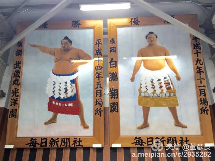 第67代横纲武藏丸(退役,美国),第69代横纲 白鹏( 现役,蒙古)