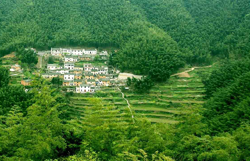 黄山黟县木坑竹海景区成人票电子票当天可定快速取票