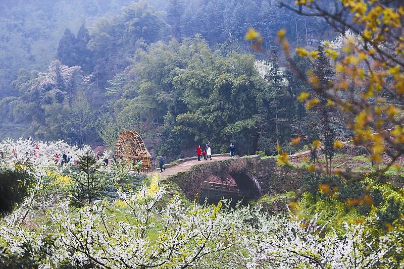 丹棱县自助游,自由行,丹棱县自助游攻略-蚂蜂窝旅游