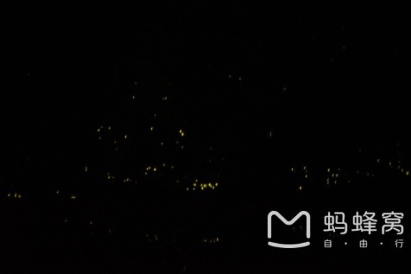 萤火虫图片简介 wKgBs1fjTNmAJDBAAABDQ8ft4Y857.jpeg?imageView2%2F2%2Fw%2F600%2Fh%2F600%2Fq%2F90