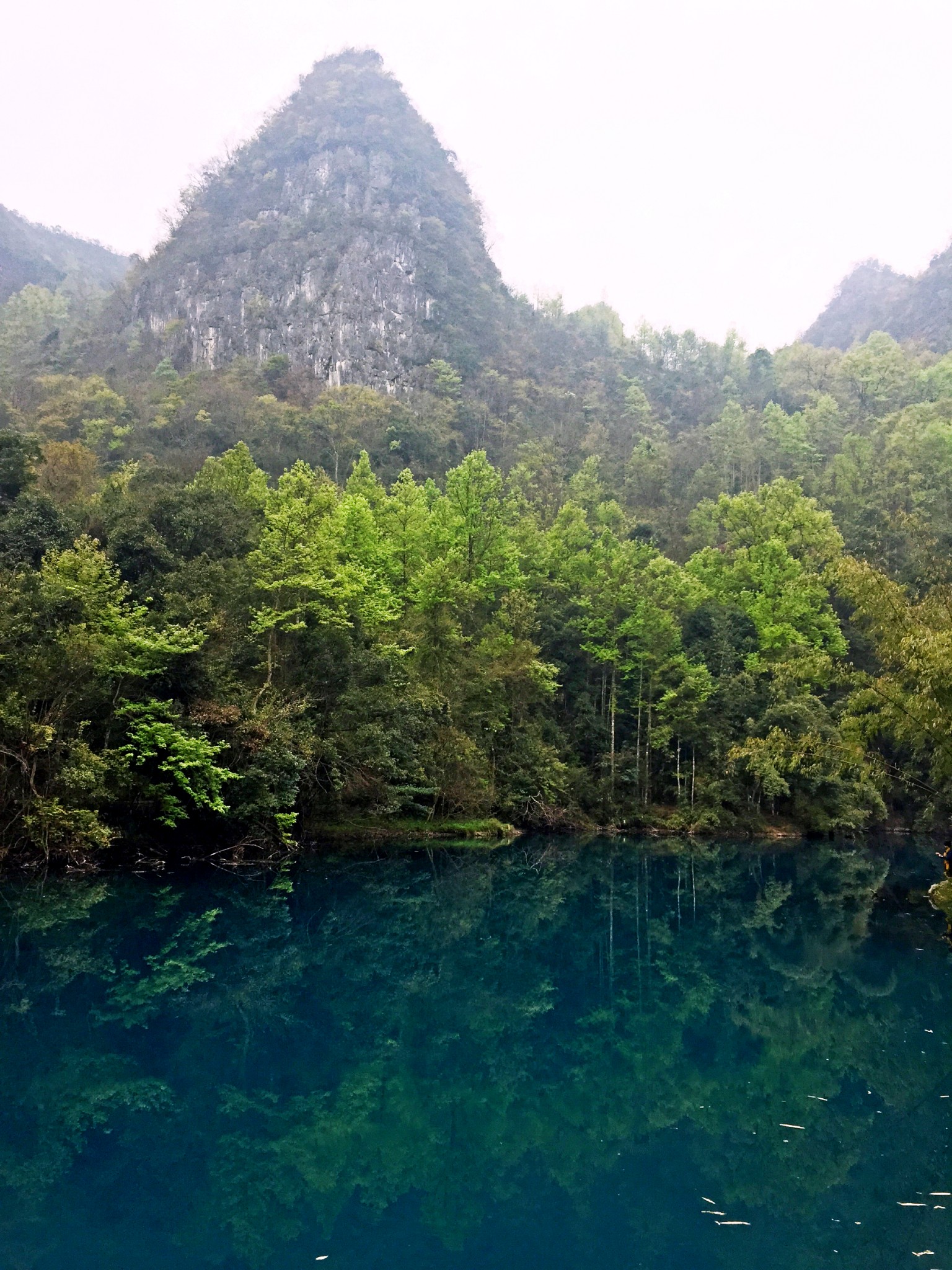 兴义都匀凯里gdp_都匀毛尖图片(2)