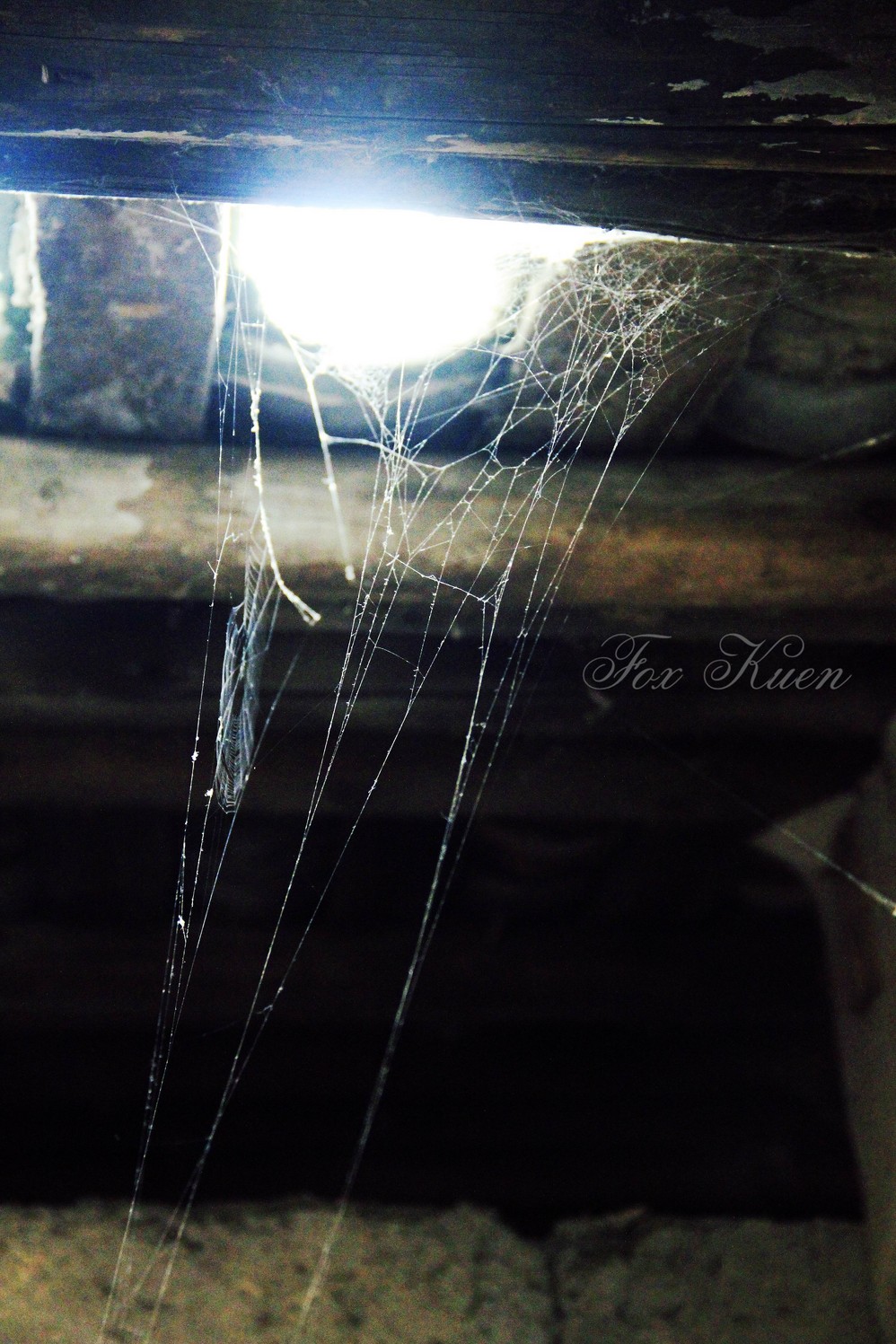 洗手间里的蜘蛛网