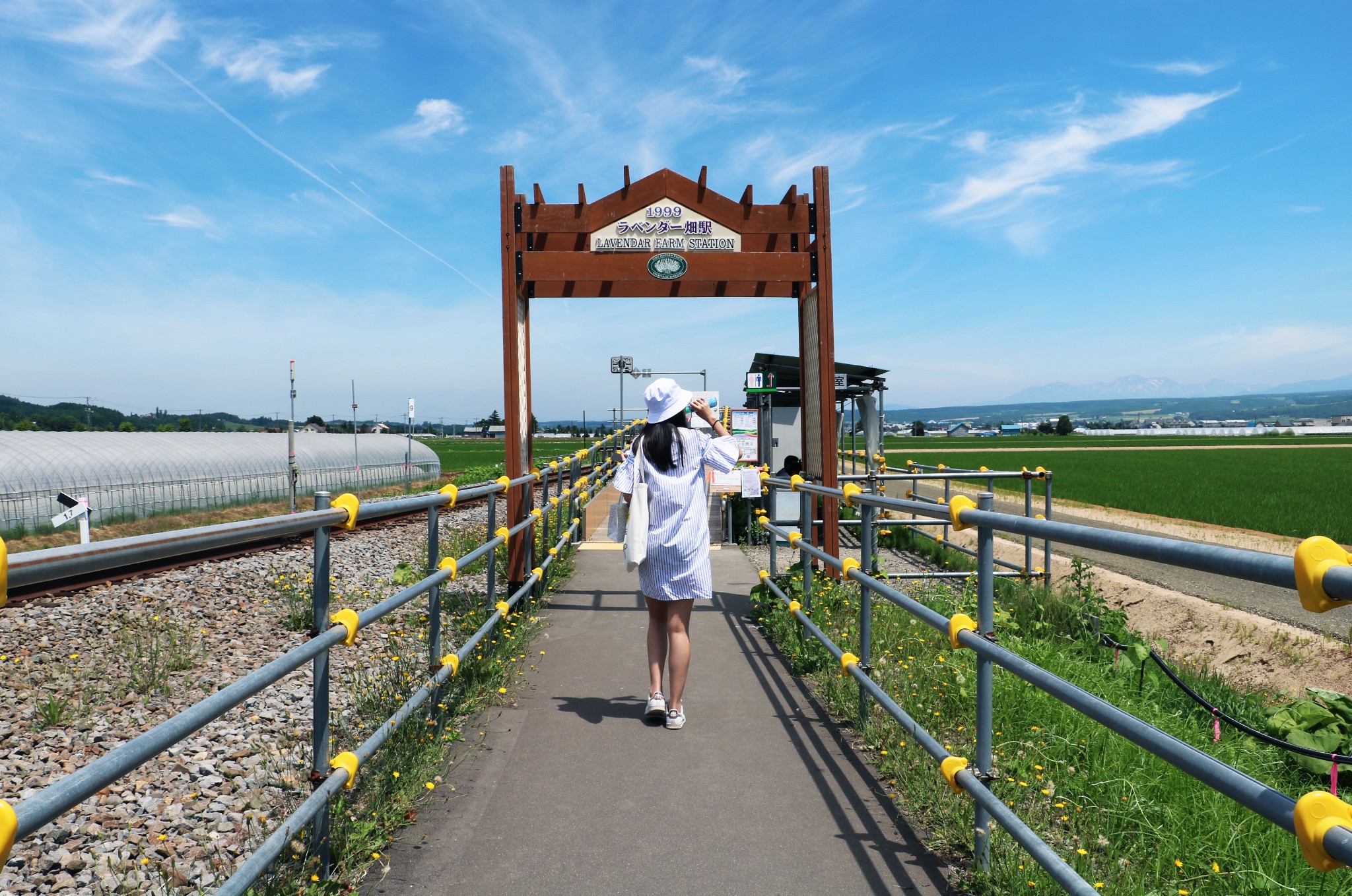 北海道自助遊攻略