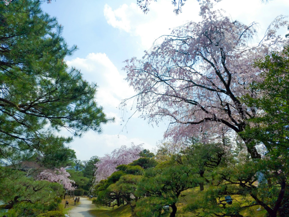 京都自助遊攻略