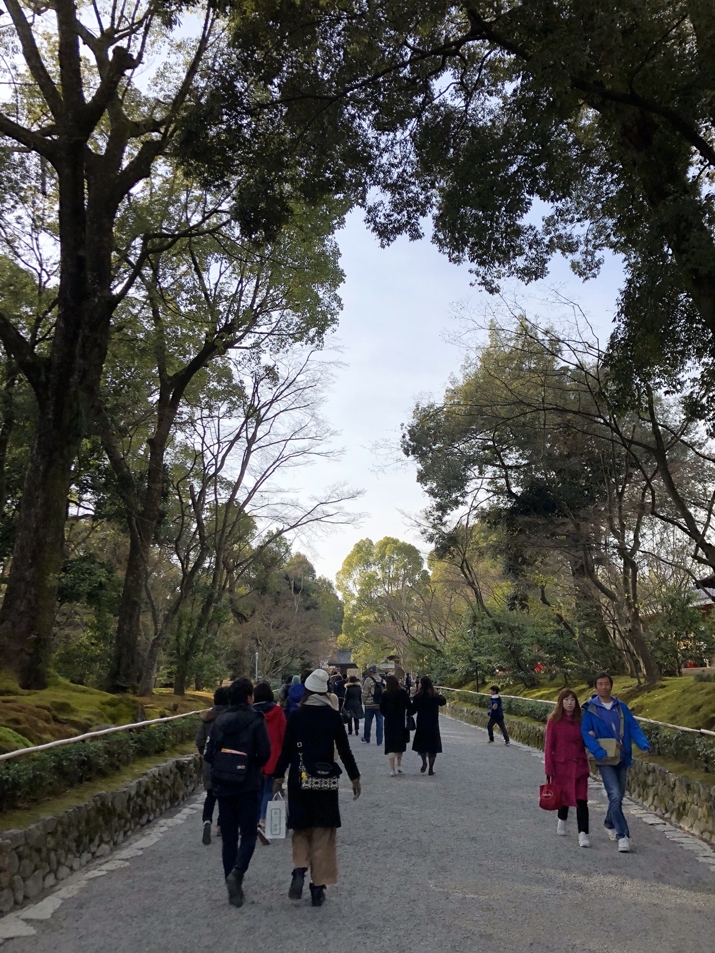 京都自助遊攻略