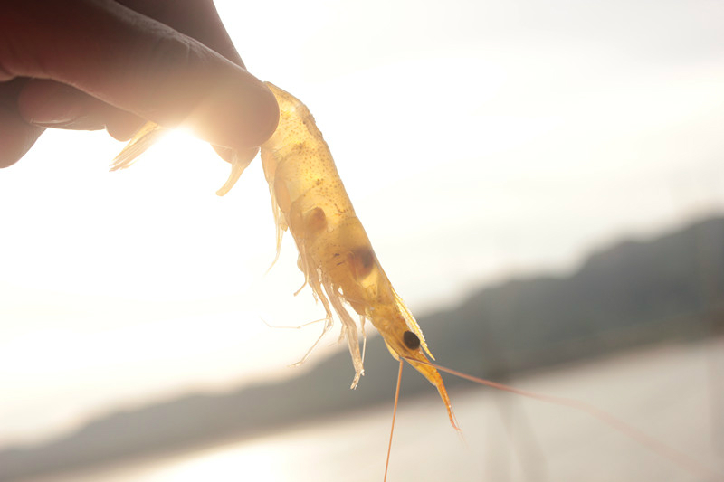 让人狂喜的海滩霞浦大京