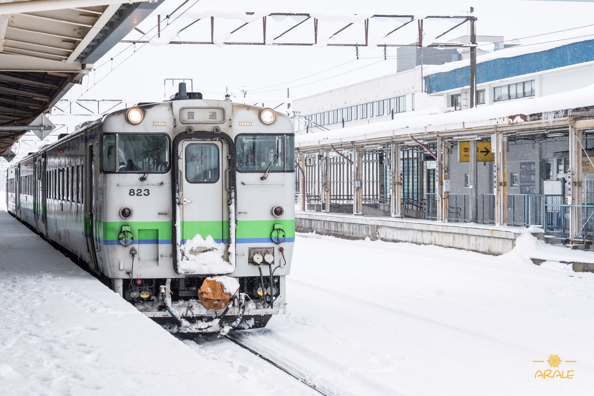 北海道自助遊攻略