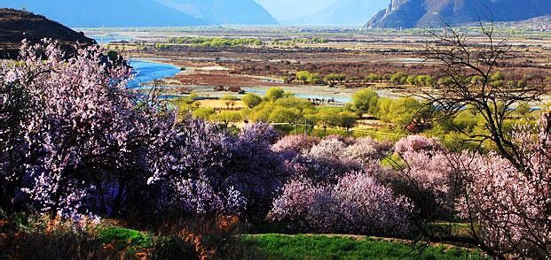 现在可以去西藏林芝吗 wKgBZ1jvEgWAK1iCAAHVtIAssJw81.jpeg?imageView2%2F2%2Fw%2F680%2Fq%2F90