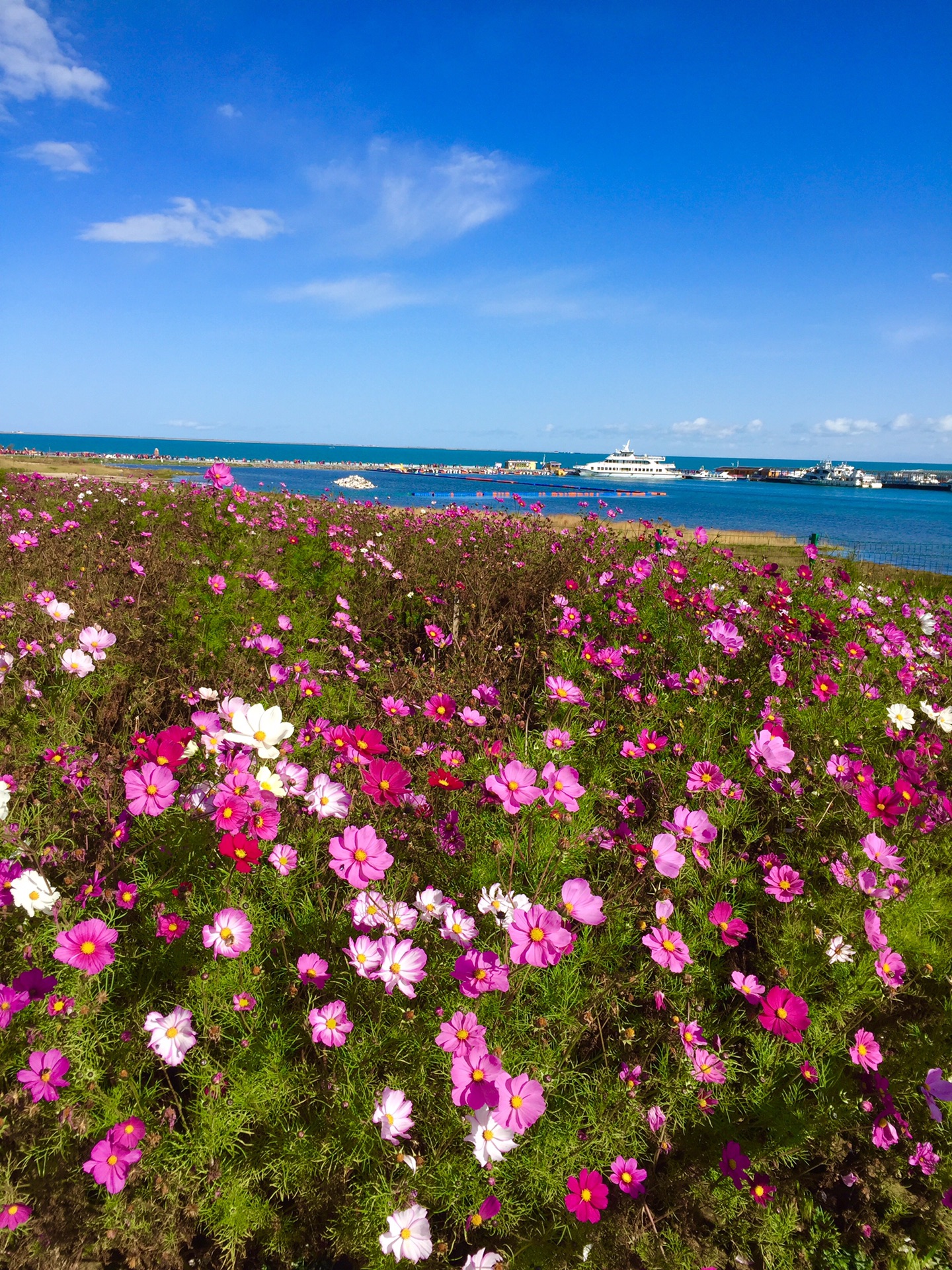 青海湖自助遊攻略