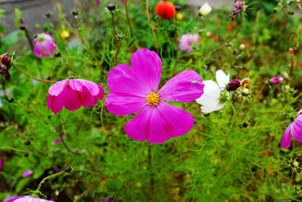 火石寨丹霞地貌到此叹为观止