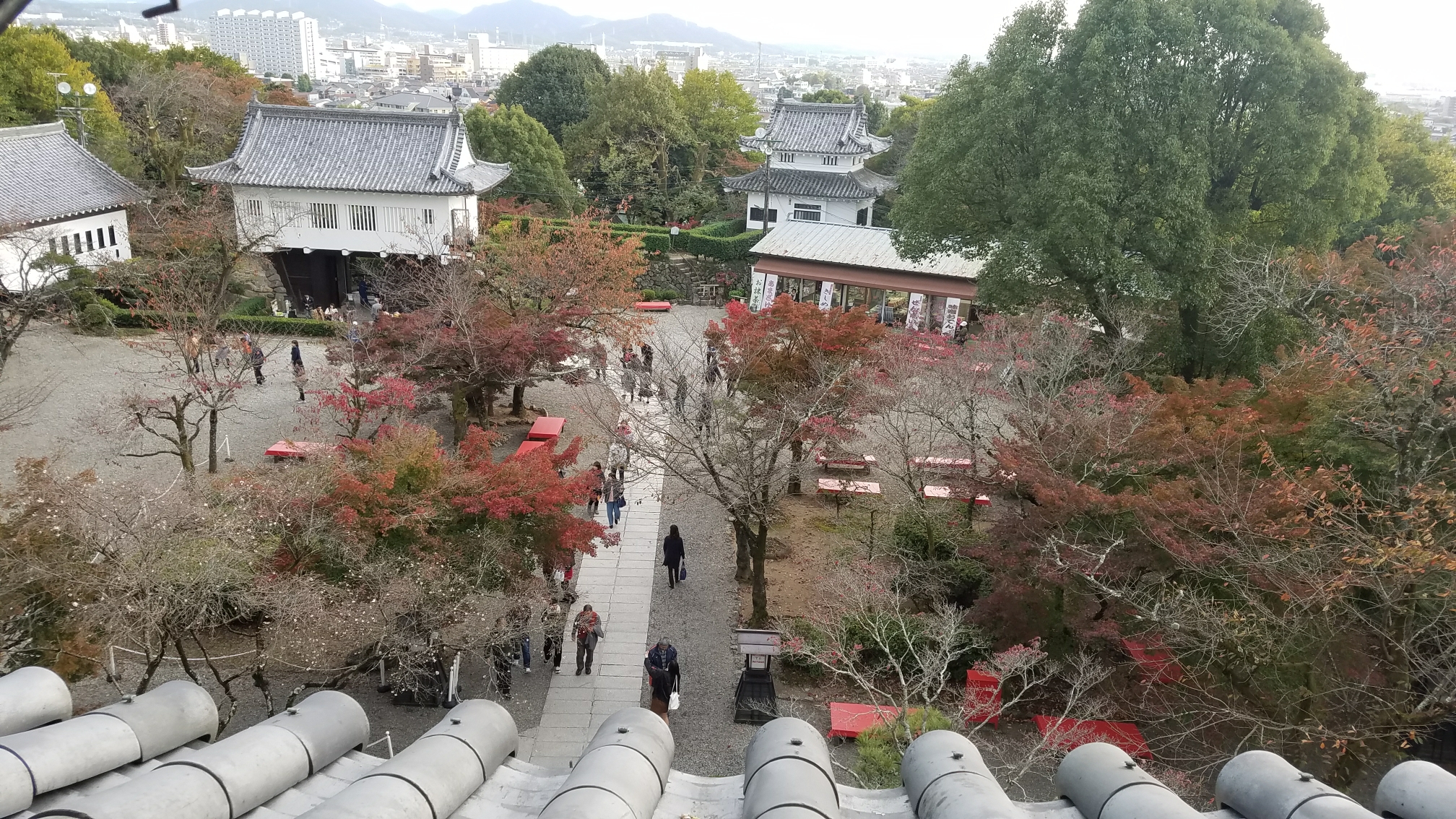 名古屋自助遊攻略