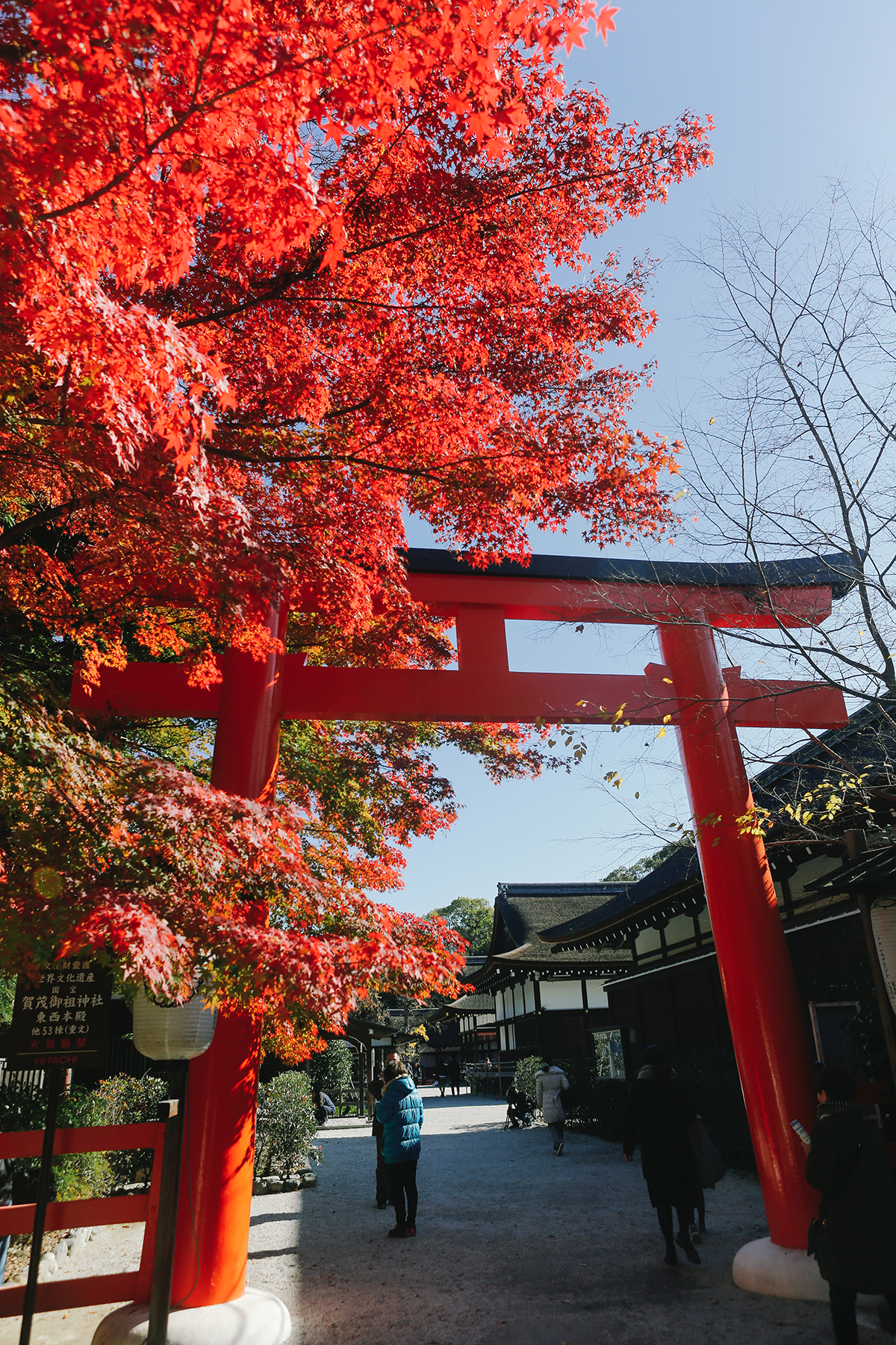 京都自助遊攻略