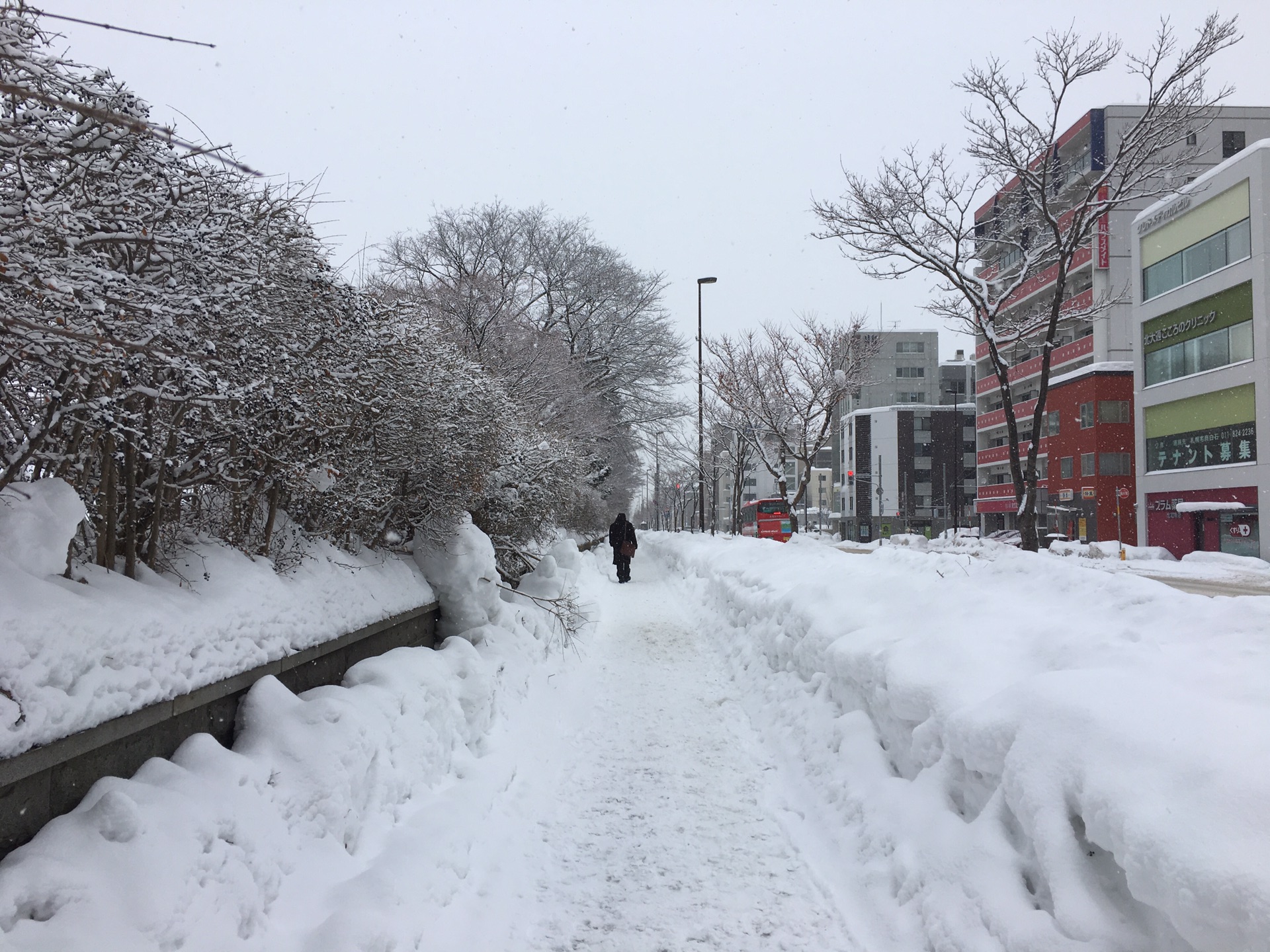 北海道自助遊攻略