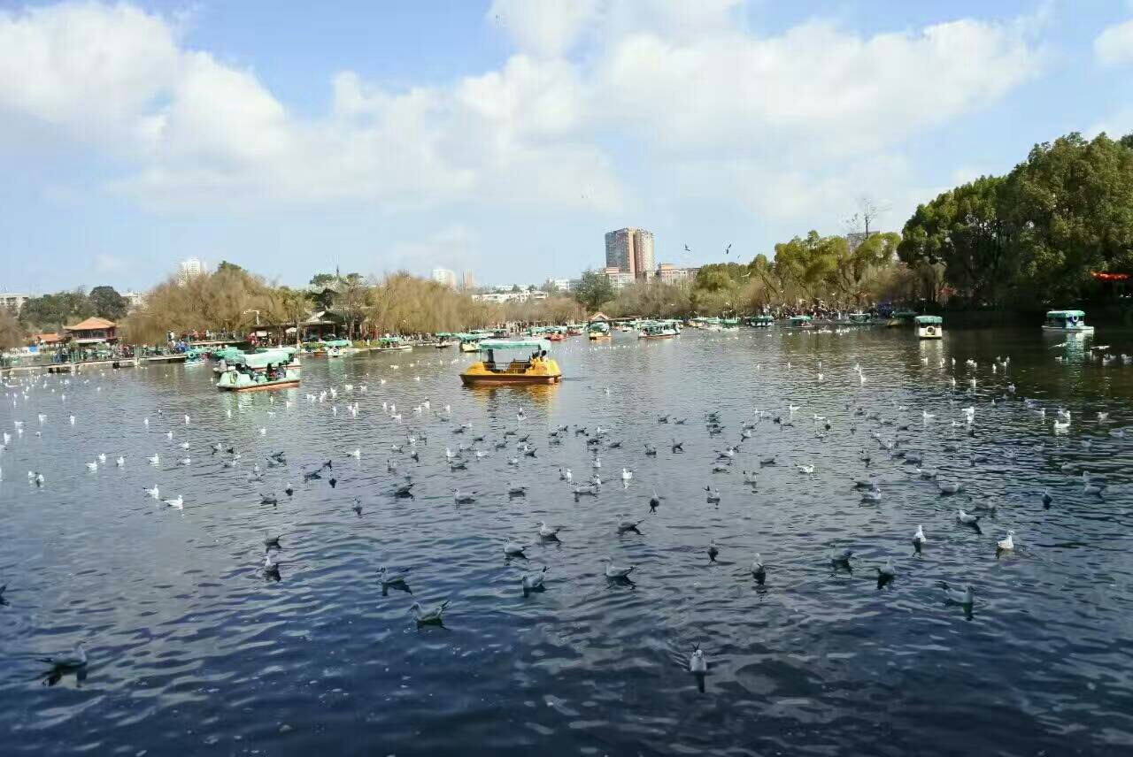 罗平陆良GDP_陆良彩色沙林