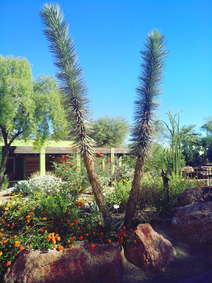 拉斯维加斯-洛杉矶-圣迭戈,纯公共交通出行