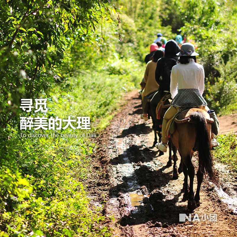 na小团 大理苍山清净古道一日游 (骑马上山 七龙女池 玉带路云游 索道
