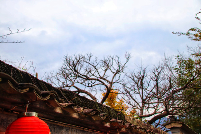 繁星之下的露营初体验!