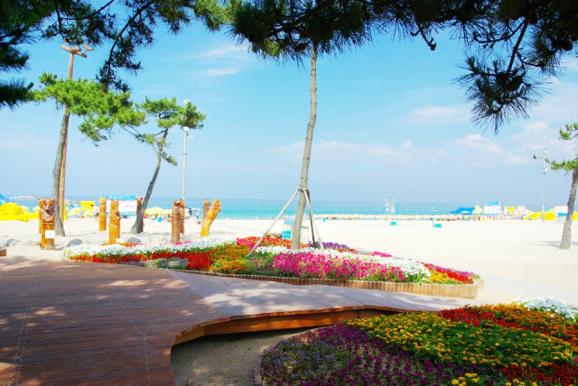 韩国春夏最值得去的江陵海边 顺便教你拍出一