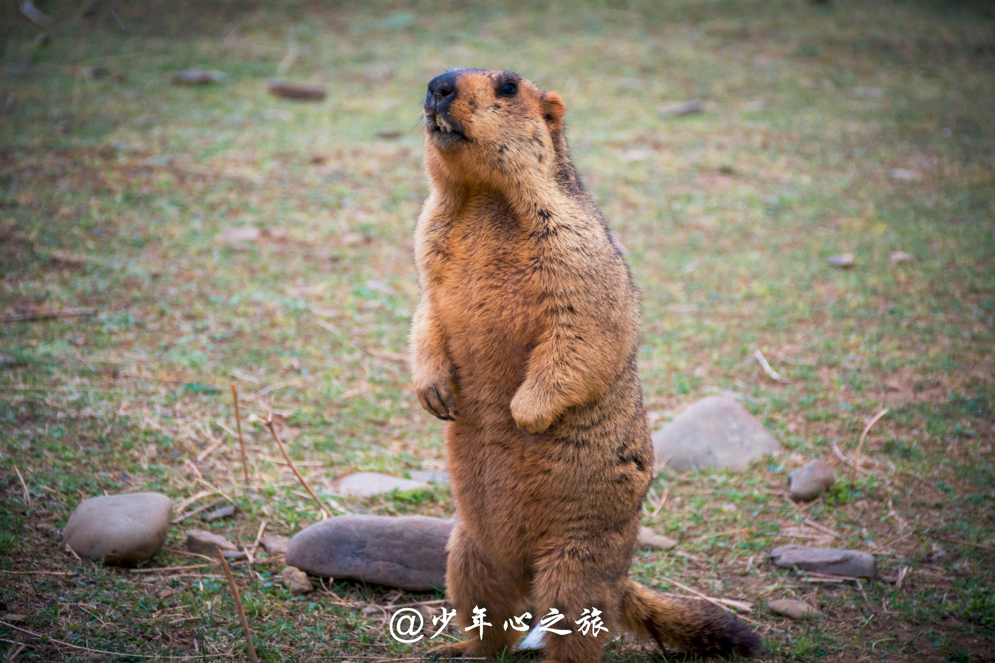 色達自助遊攻略