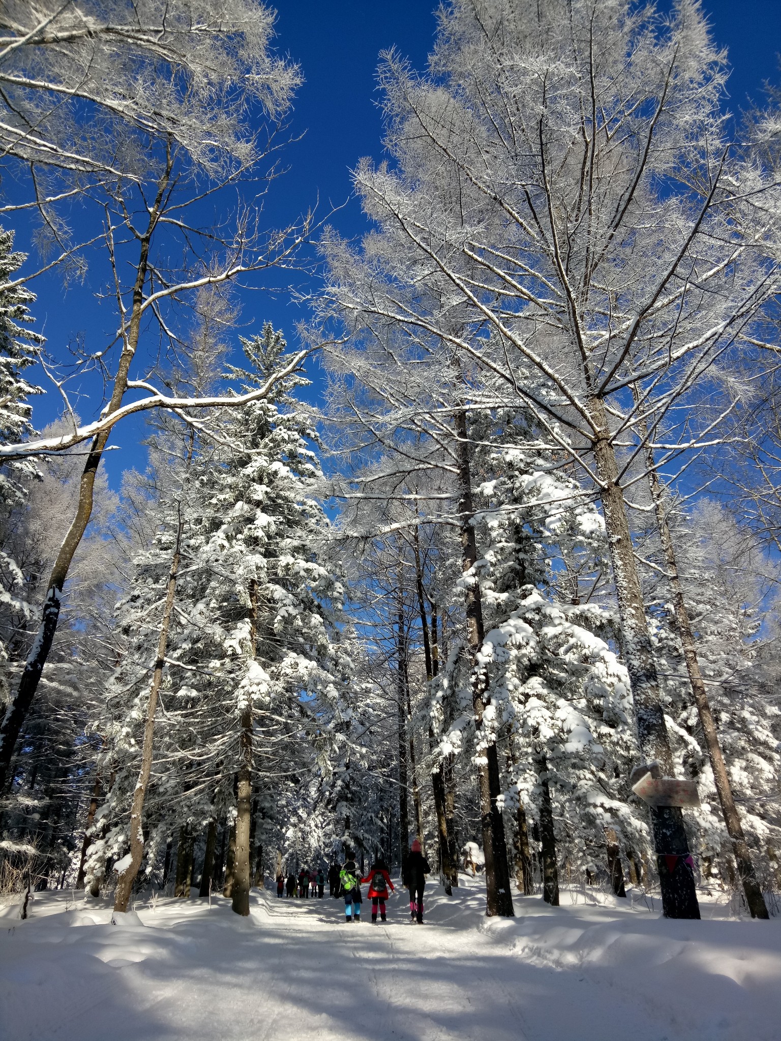 雪鄉自助遊攻略