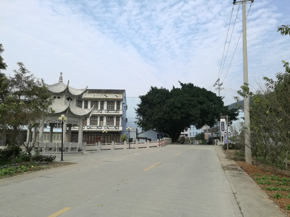 瑞安曹村多少人口_瑞安曹村天井垟风景区