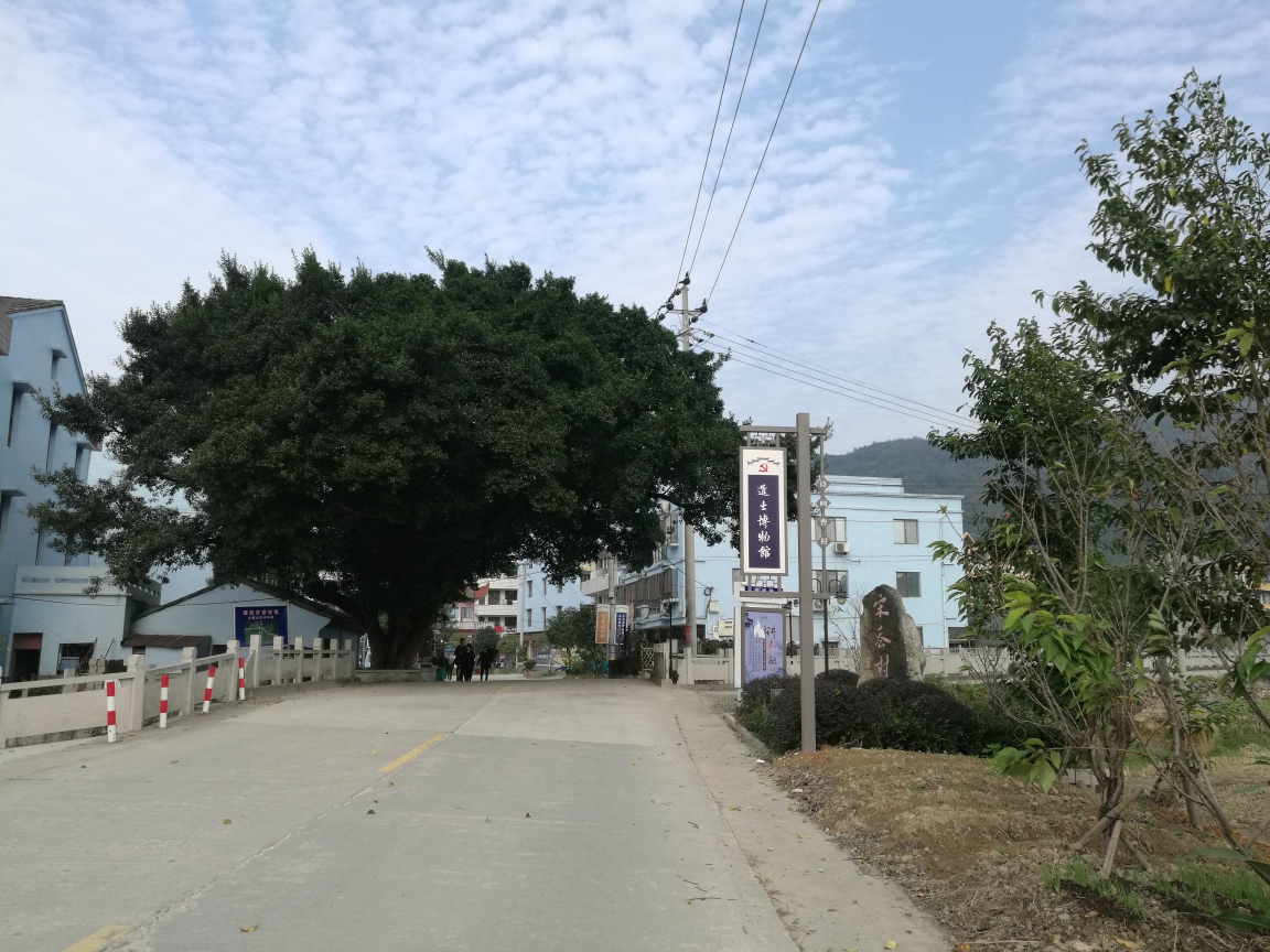 瑞安曹村多少人口_瑞安曹村天井垟风景区(2)