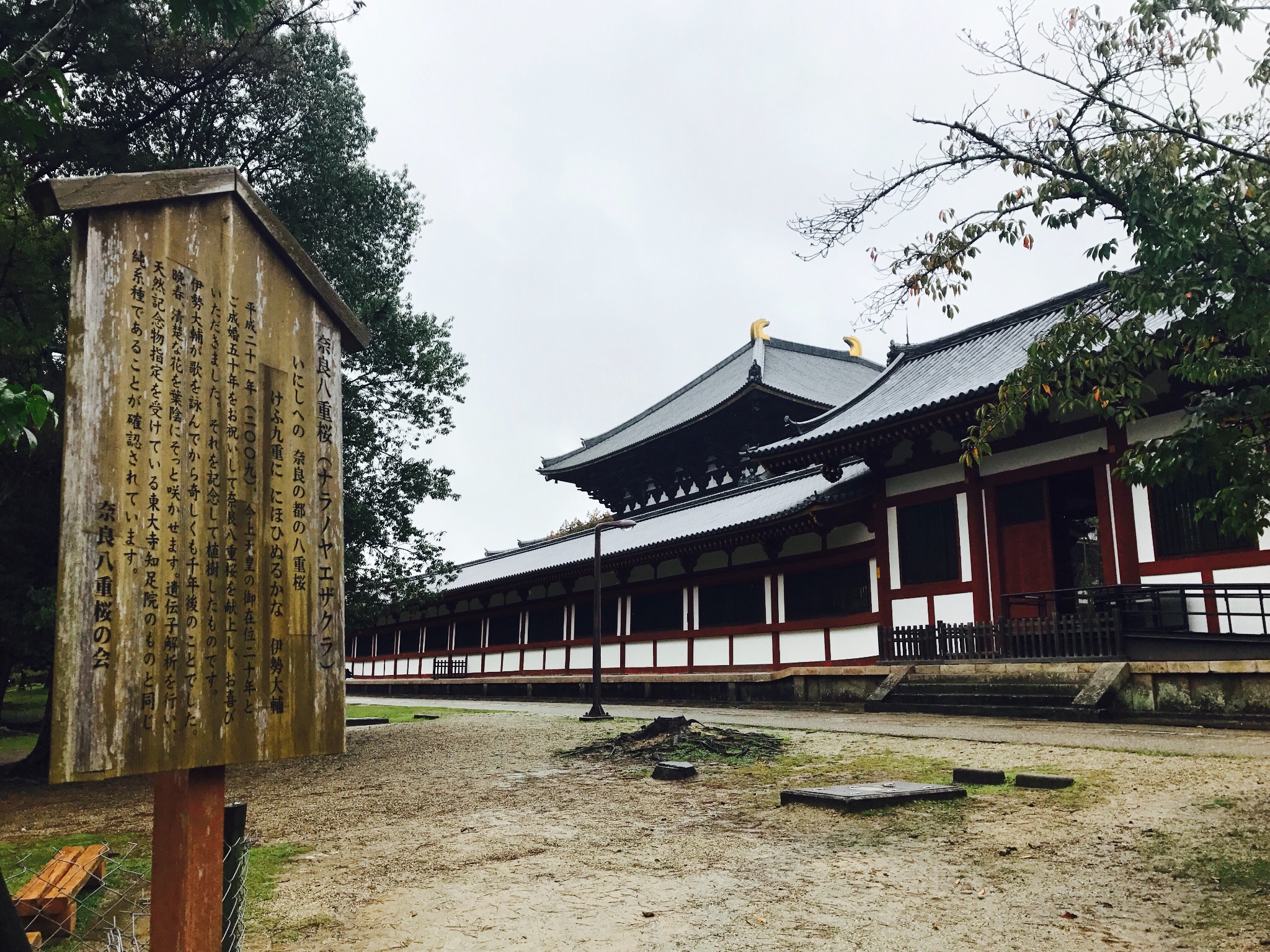 北海道自助遊攻略