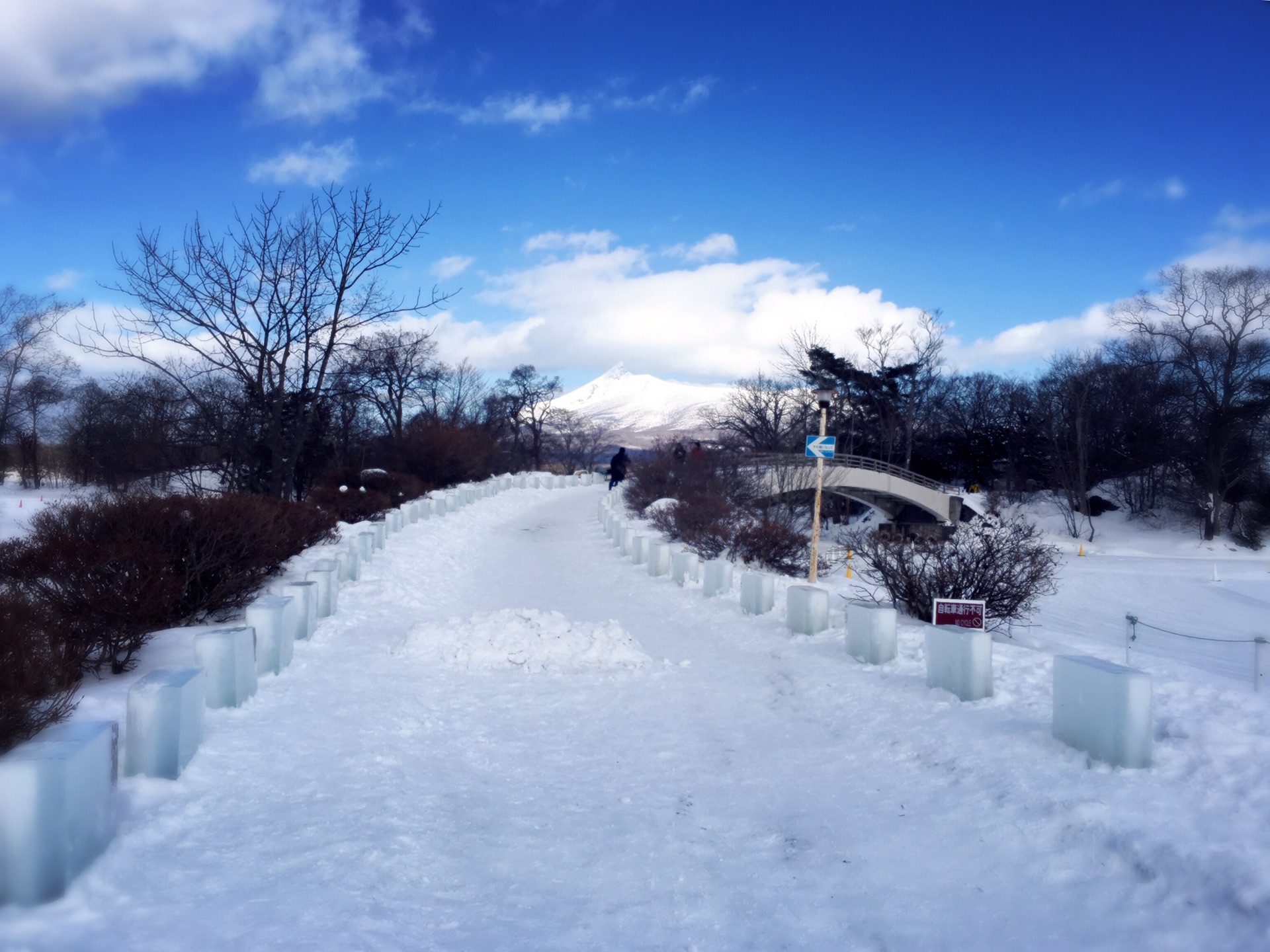 北海道自助遊攻略