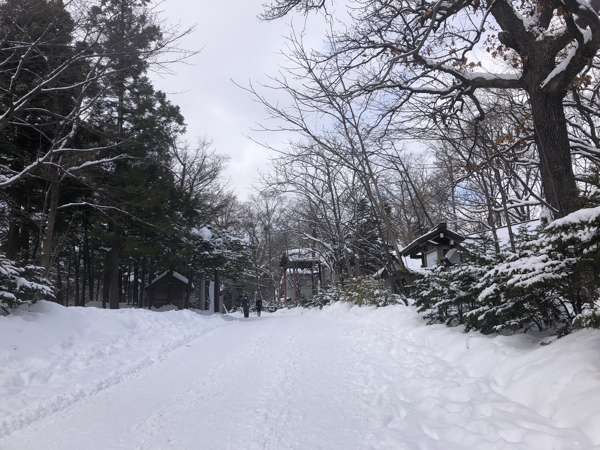 札幌自助遊攻略