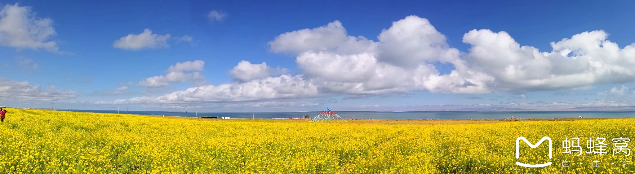 青海湖自助遊攻略