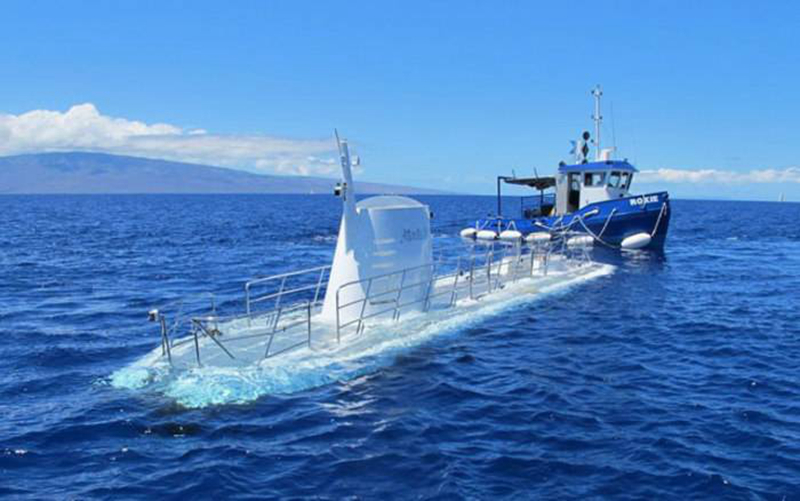 夏威夷亚特兰蒂斯号潜水艇观鱼(大岛)