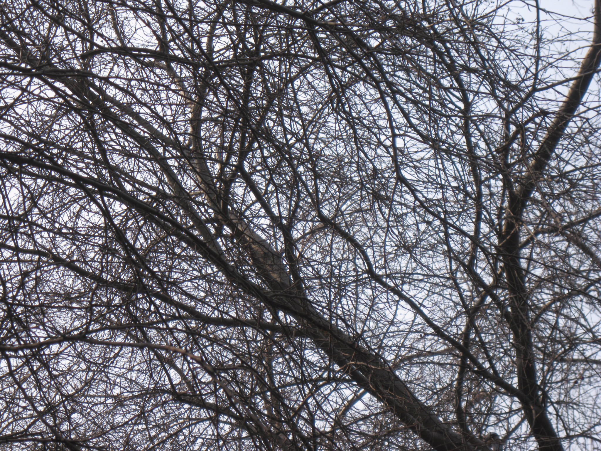 wKgBZ1jOi0-ADhGMABaEw3w63c831.jpeg?imageView2%2F2%2Fw%2F680%2Fq%2F90