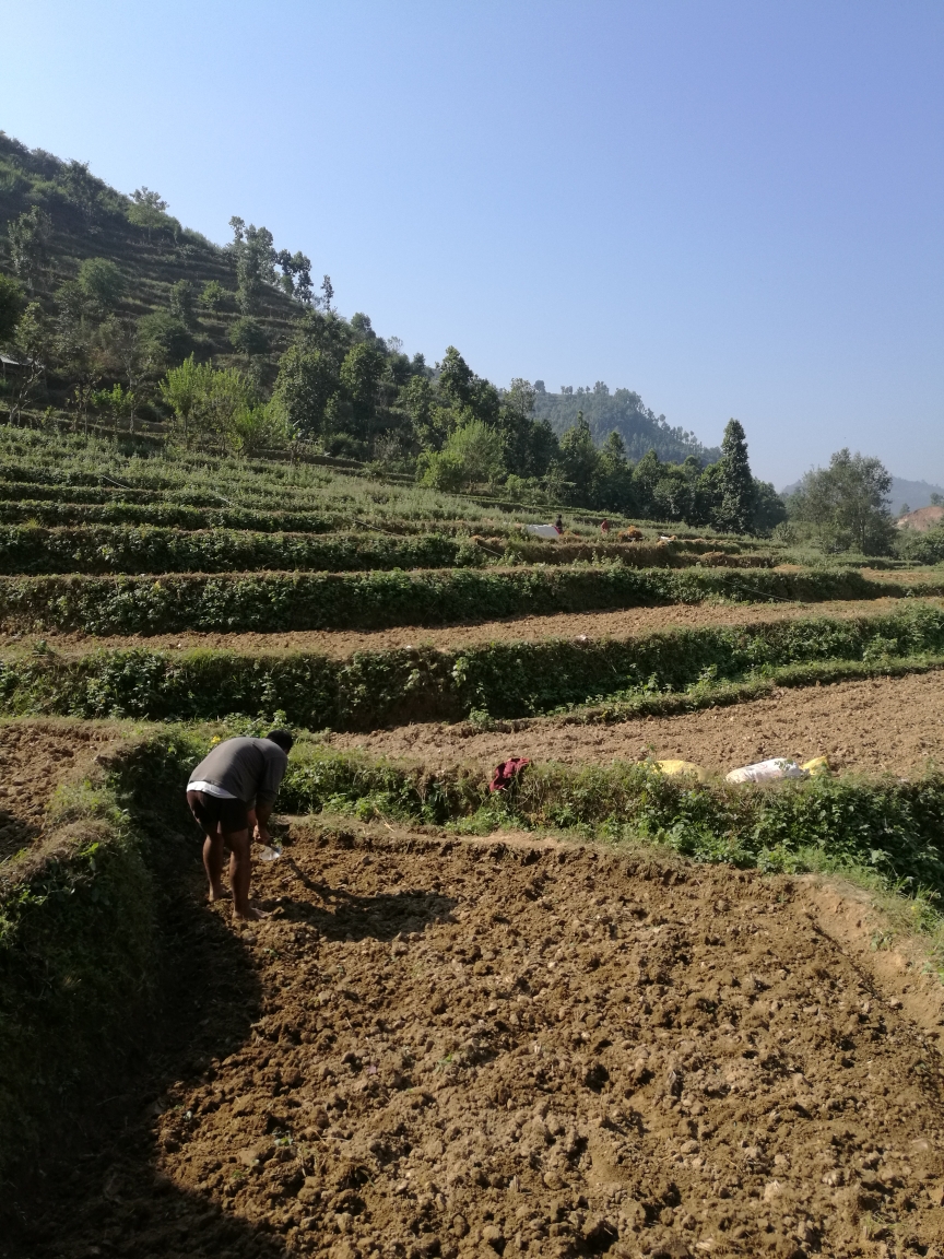 wKgBZ1oZVBCAJfy9AA0v8JR8Rqo49.jpeg?imageView2%2F2%2Fw%2F680%2Fq%2F90%7CimageMogr2%2Fstrip%2Fquality%2F90