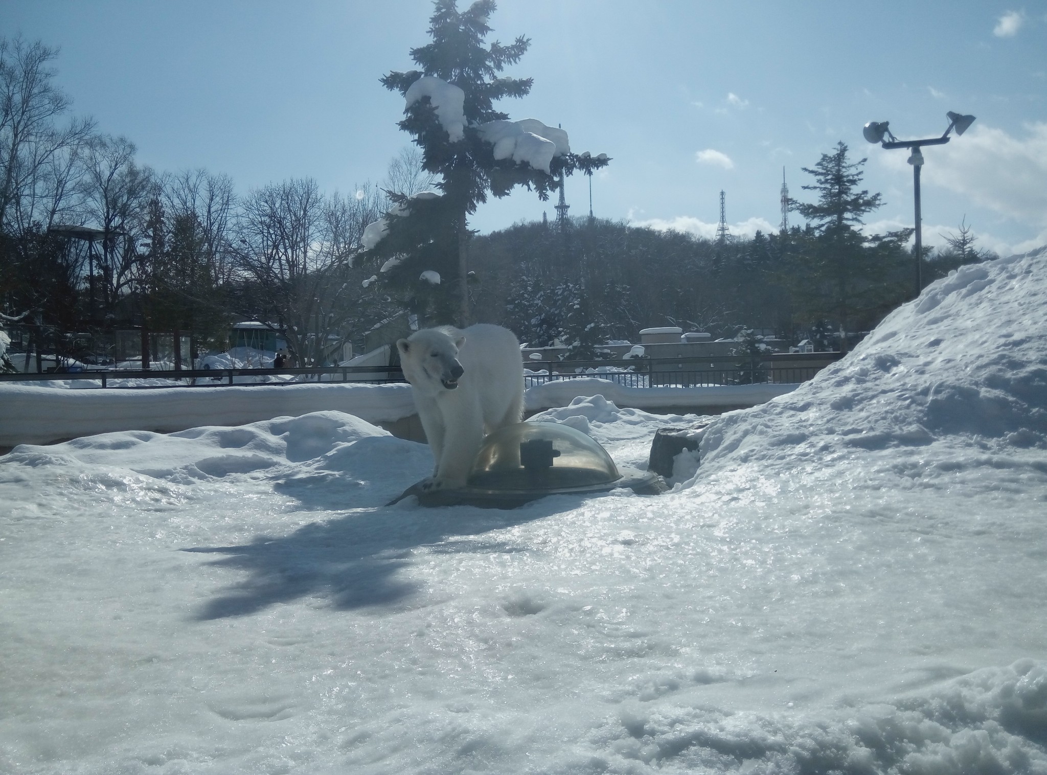 北海道自助遊攻略