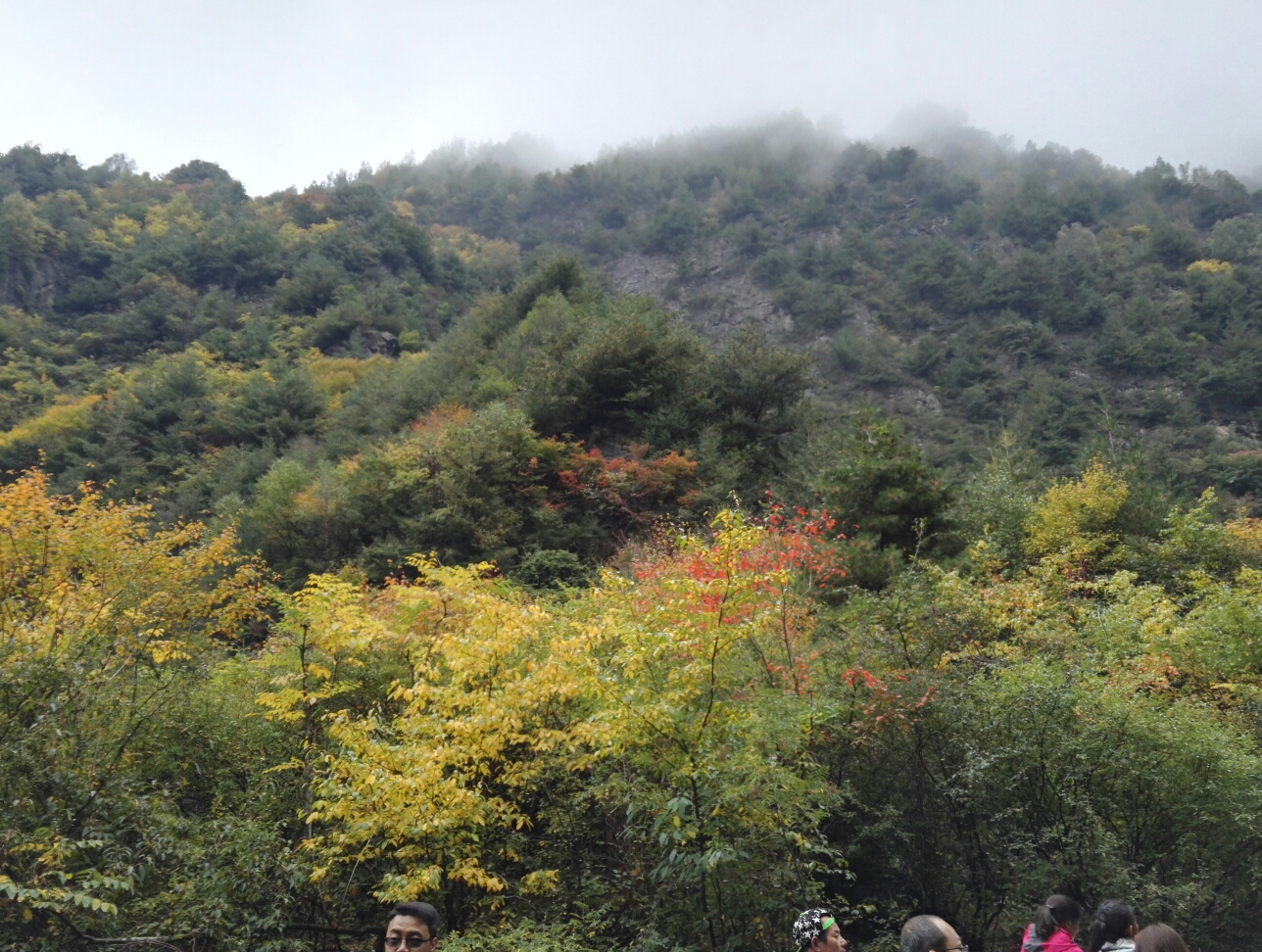 大墩峡曲谱_大墩峡景区