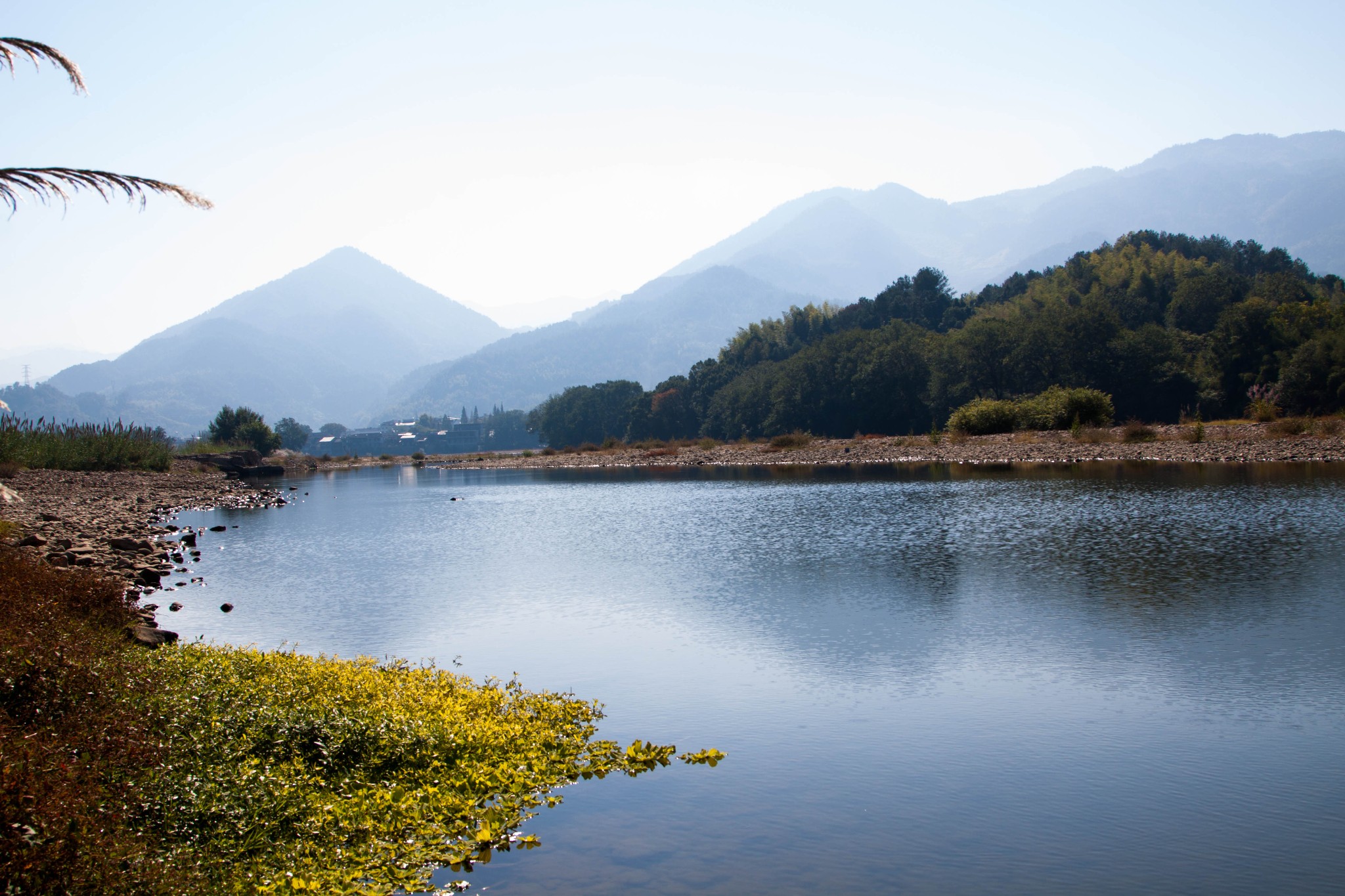 麗水自助遊攻略