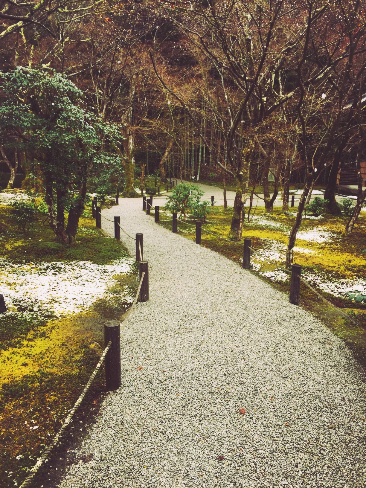 京都自助遊攻略