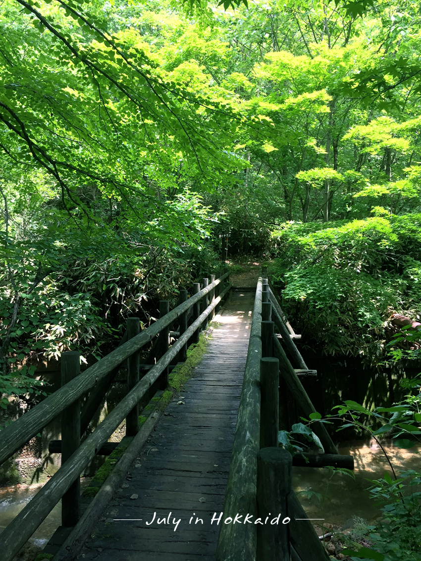 北海道自助遊攻略