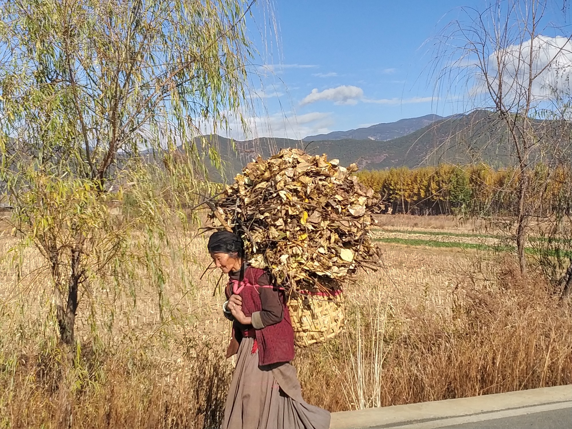 麗江自助遊攻略